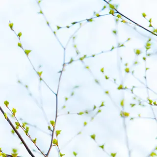 Shutterstock 2108751188 (1)