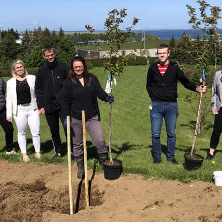 Grodursetningar Grodursetningar