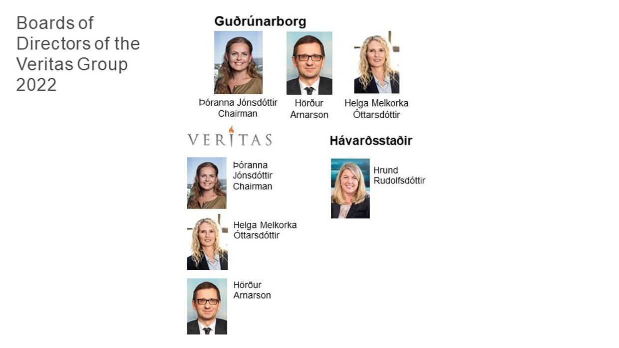 Board Of Directors Gudrunarborg 2022 (1)